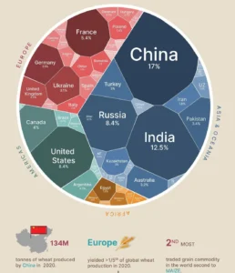 Pie chart of global wheat consumption and its nutritional value